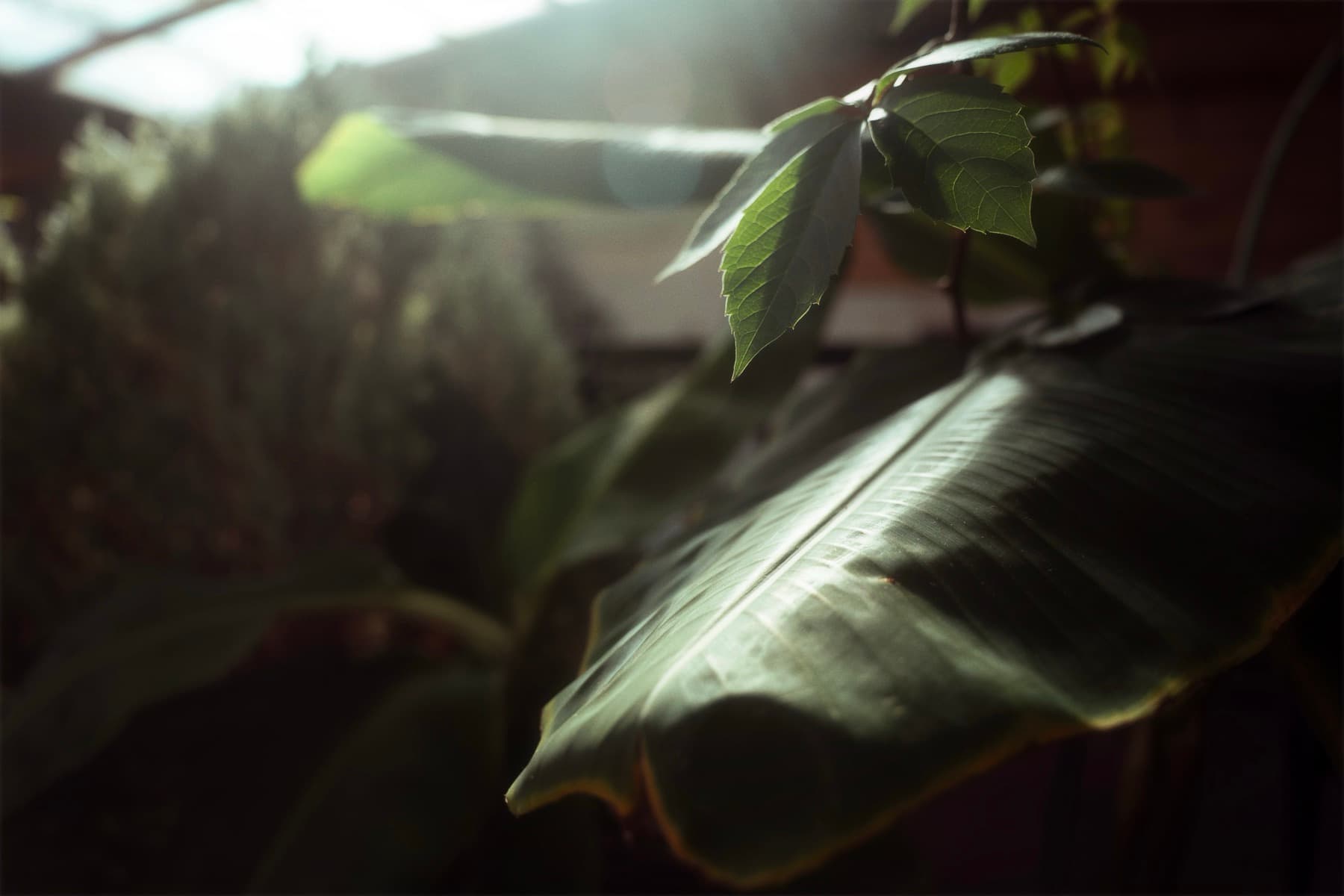 Снимка 2 от пространството на БИЛКАРиУМ